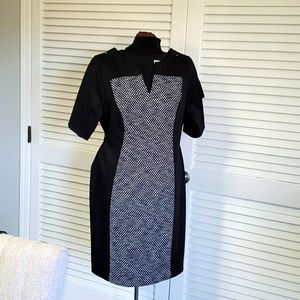 Dress, sheath